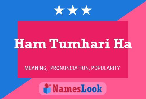 ملصق اسم Ham Tumhari Ha