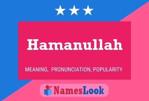 ملصق اسم Hamanullah