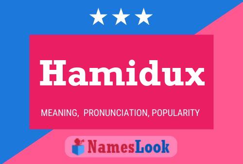 ملصق اسم Hamidux