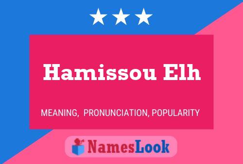 ملصق اسم Hamissou Elh