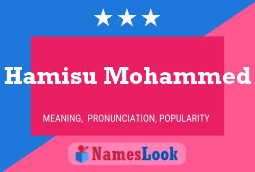 ملصق اسم Hamisu Mohammed