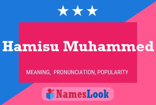 ملصق اسم Hamisu Muhammed