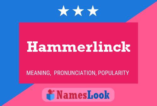 ملصق اسم Hammerlinck