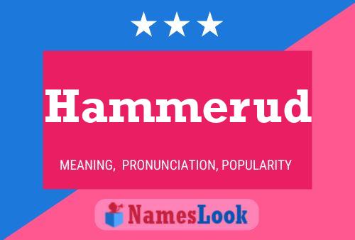 ملصق اسم Hammerud