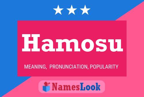 ملصق اسم Hamosu