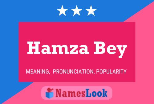 ملصق اسم Hamza Bey