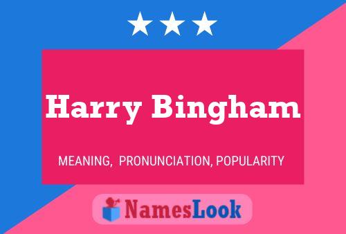 ملصق اسم Harry Bingham