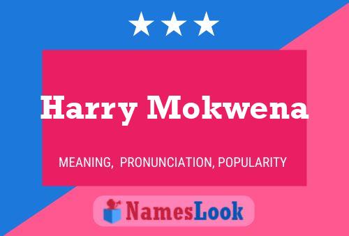 ملصق اسم Harry Mokwena