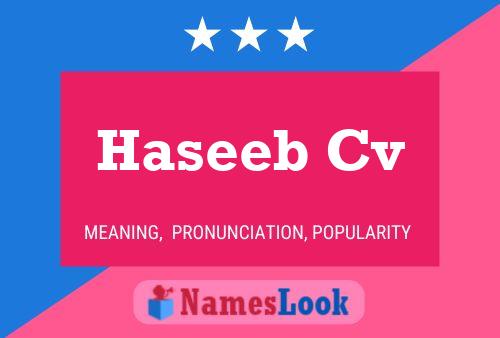 ملصق اسم Haseeb Cv