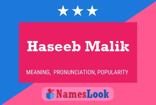 ملصق اسم Haseeb Malik