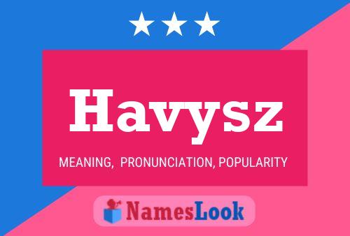 ملصق اسم Havysz