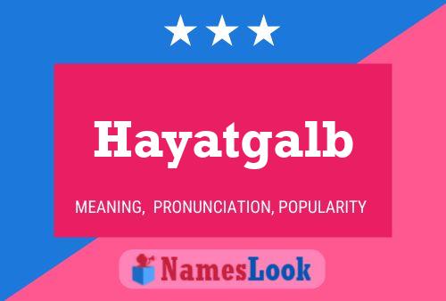 ملصق اسم Hayatgalb