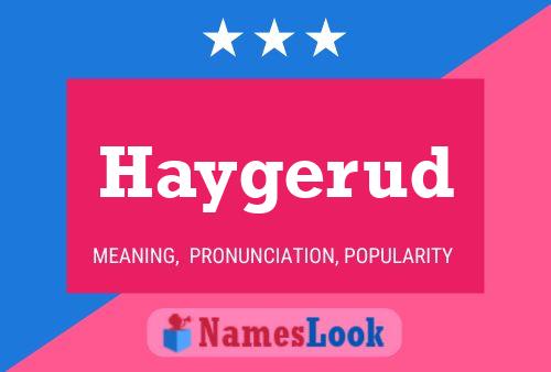 ملصق اسم Haygerud