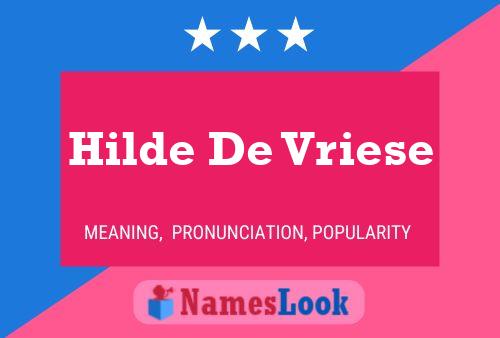 ملصق اسم Hilde De Vriese