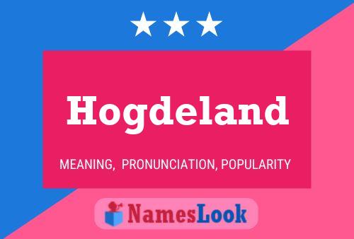 ملصق اسم Hogdeland