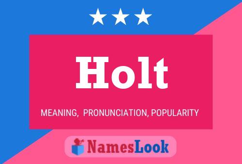 ملصق اسم Holt