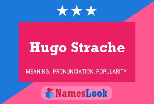 ملصق اسم Hugo Strache