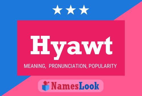 ملصق اسم Hyawt