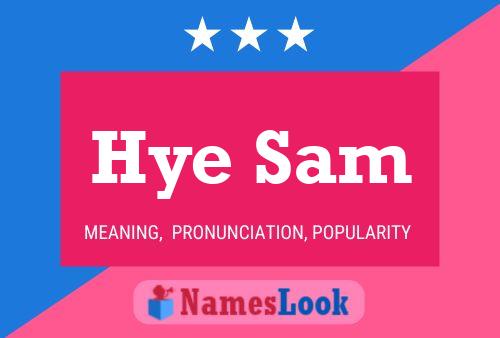 ملصق اسم Hye Sam