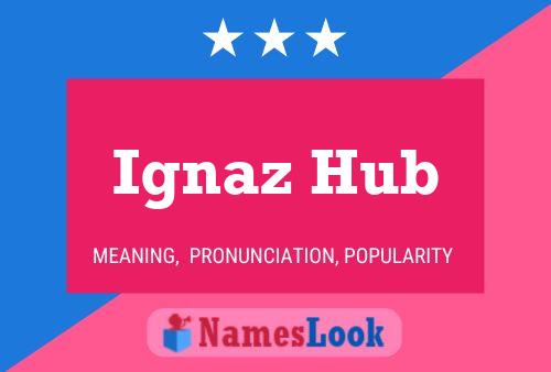 ملصق اسم Ignaz Hub