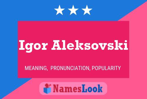 ملصق اسم Igor Aleksovski