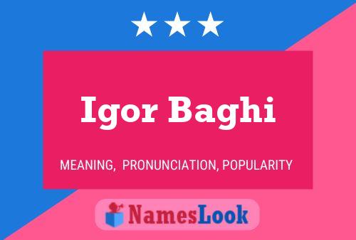 ملصق اسم Igor Baghi