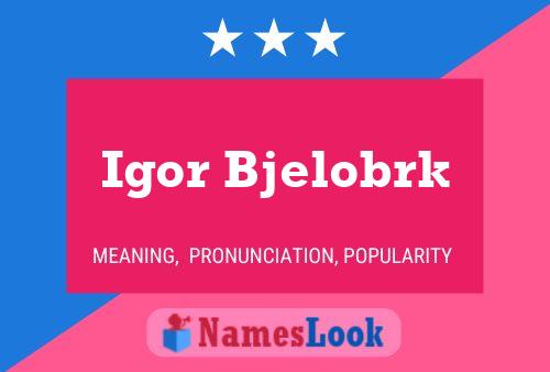 ملصق اسم Igor Bjelobrk