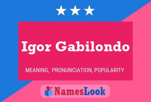 ملصق اسم Igor Gabilondo