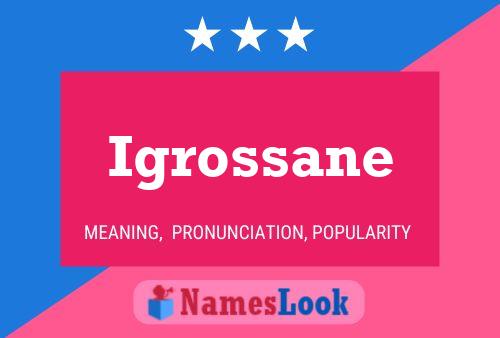 ملصق اسم Igrossane