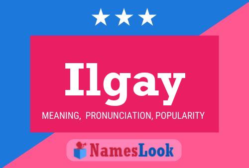 ملصق اسم Ilgay