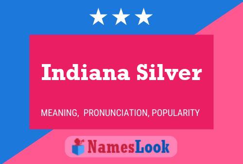 ملصق اسم Indiana Silver