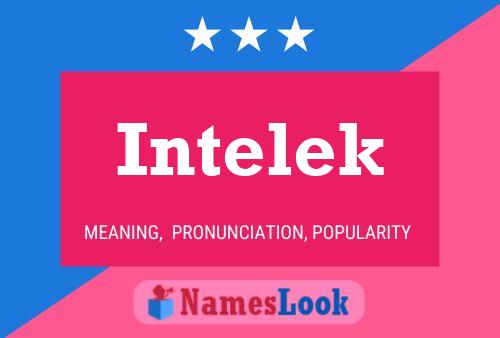 ملصق اسم Intelek