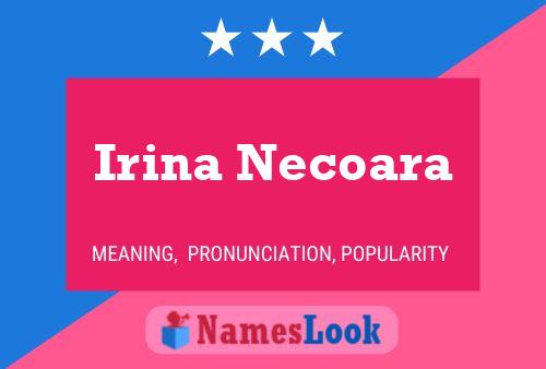 ملصق اسم Irina Necoara