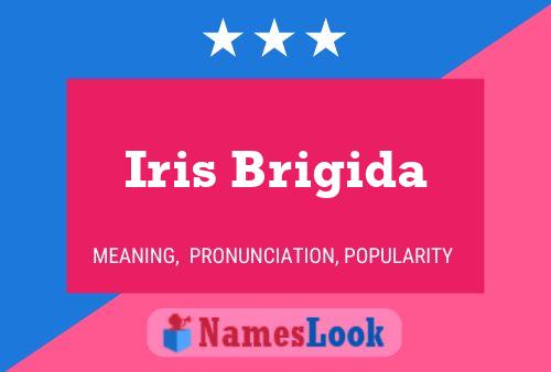 ملصق اسم Iris Brigida