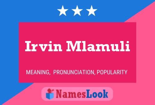 ملصق اسم Irvin Mlamuli