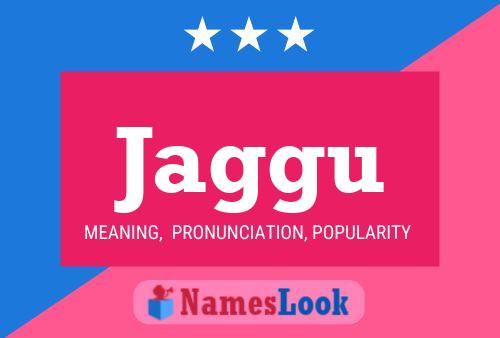 ملصق اسم Jaggu