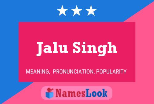 ملصق اسم Jalu Singh