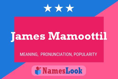 ملصق اسم James Mamoottil