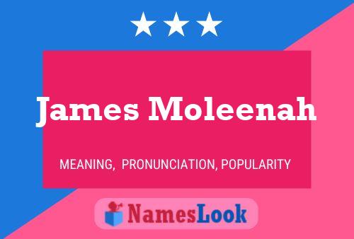 ملصق اسم James Moleenah