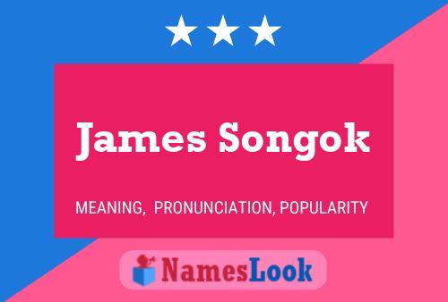 ملصق اسم James Songok