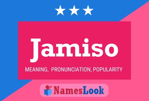 ملصق اسم Jamiso