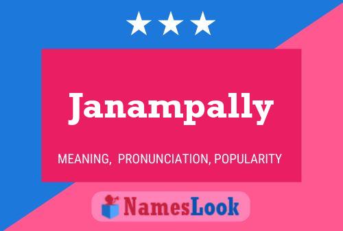 ملصق اسم Janampally