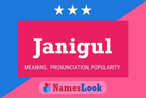 ملصق اسم Janigul