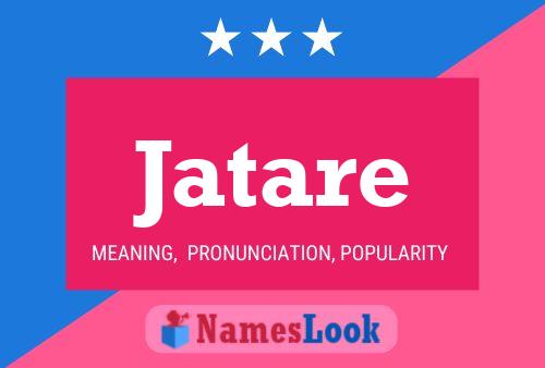 ملصق اسم Jatare