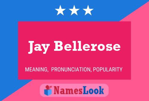 ملصق اسم Jay Bellerose