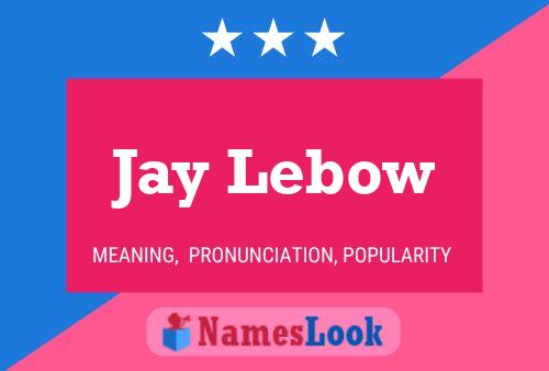 ملصق اسم Jay Lebow