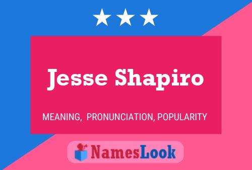 ملصق اسم Jesse Shapiro