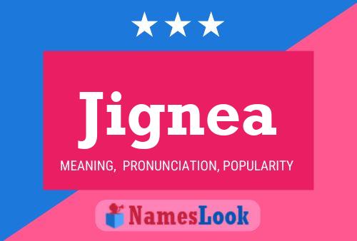 ملصق اسم Jignea