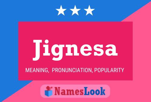 ملصق اسم Jignesa