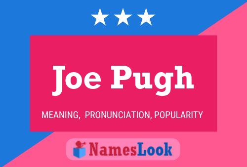 ملصق اسم Joe Pugh